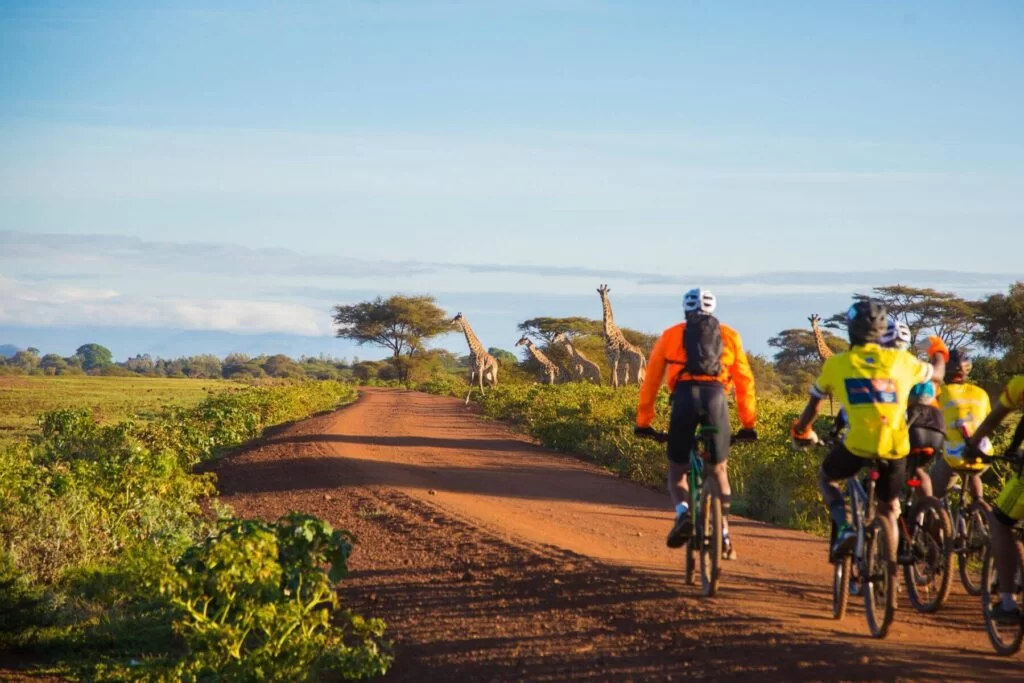Mountain Cycling